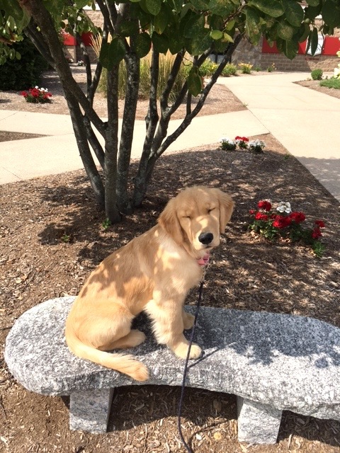 I need some cool shades! (1).JPG